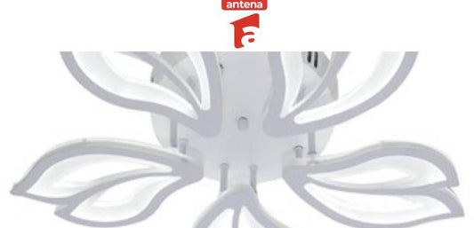 Cel mai mic pret - Alessandro Design