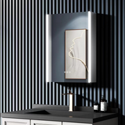 Emilia Closet s LED Mirror DBP121 51x71 bílá