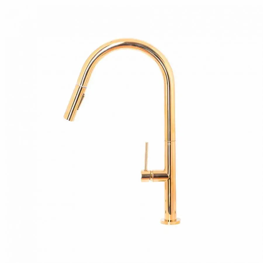 Kuchyňská baterie s extrahovatelnou sprchou, sanitární mosaznou, zlatou, CF2043