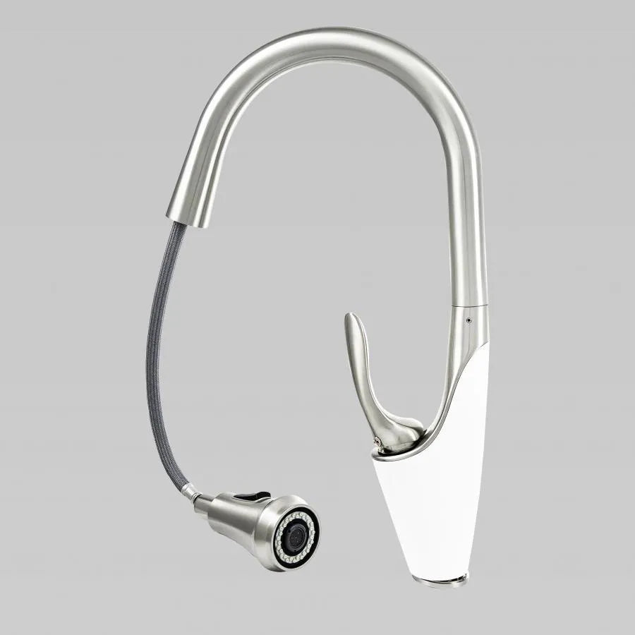 Kuchyňská baterie s extrahovatelnou sprchou, sanitární mosaznou, chrome, W054