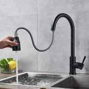 Baterie kuchyně s extrahovatelnou sprchou, nerezová ocel UP304, černá, HS003