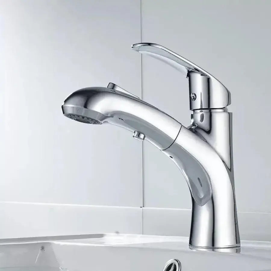 Baterie Washbasin s extrahovatelným sprchou, sanitární mosaznou, chrome, od/2030