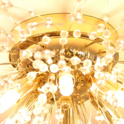 Rondo Vivace Crystal Chandelier, 8x G9, 60 cm, zlatý