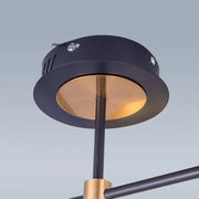LED chtíč se skupinami dálkového ovládání, 110 W, nestabilní, černá se zlatem