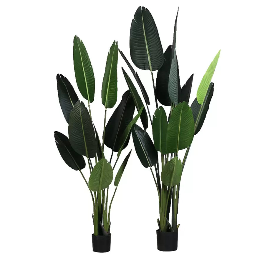 Umělý průchod rostlin ráje (Strelitzia Nicolai), 11 listů, bez hrnců, 160 cm zelené
