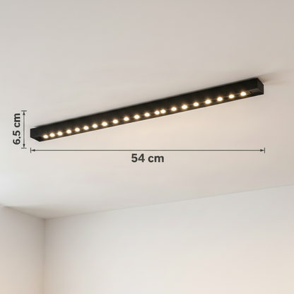 LED LED projektor RGB Exteriér 24 W Silver