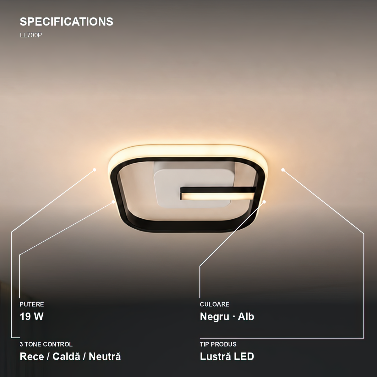 LL700P — 4. Specifications - LL700P