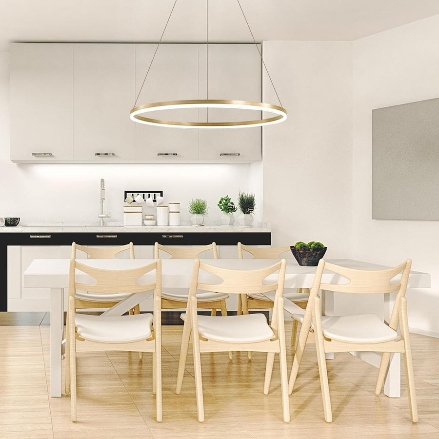 Závěsný LED lustr, ANINA, 34W, 1 kruh, Průměr 49 cm, Studené/Teplé/Neutrální světlo 3000K/4000K/6000K, Stmívatelné, Lesklá zlatá bílá, Nastavitelná výška, Kov a Akryl