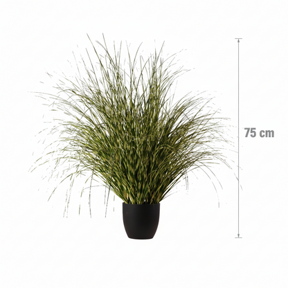 Aranjament Floral, 75 cm, Iarbă cu Frunze Vărgate, Plastic, Verde
