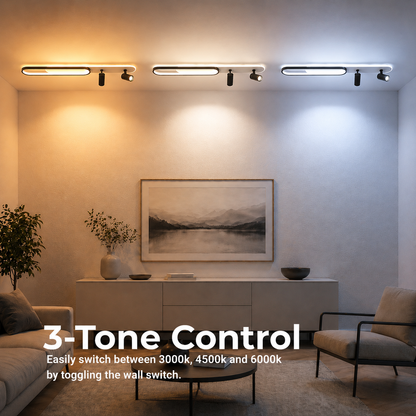 LED lustr s nastavitelným projektorem FISSO Camilla 49W, studené/teplé/neutrální světlo, černá
