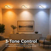 LED lustr s dálkovým ovládáním VECTOR ARCUS 52W, 2 Elements, Studené/Teplé/Neutrální světlo, Stmívatelné, Černá Bílá, Kov