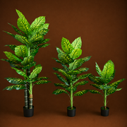 Decorațiune Dieffenbachia, Plastic, 100 cm, Verde