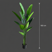 Decorațiune Strelitzia Nicolai, 180 cm, 13 frunze, Verde