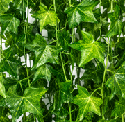 Umělá rostlina Ivy Garland, 12 větví x 72 listů, zelená