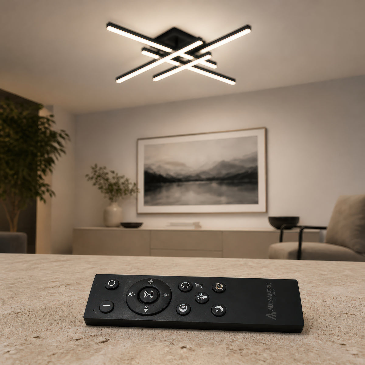 LT171_4BK - 2. REMOTE SHOW