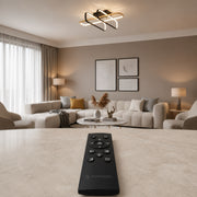 LT253_3BK — LT253_3BK - 2. REMOTE SHOW.jpg