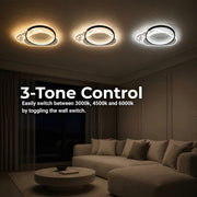 LT643_500BK — LT643_500BK - 4. 3-TONE CONTROL.jpg