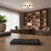 LT775_3GD — LT775_3GD - 2. REMOTE SHOW.jpg