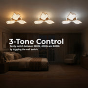 LT775_3GD — LT775_3GD - 4. 3-TONE CONTROL.jpg