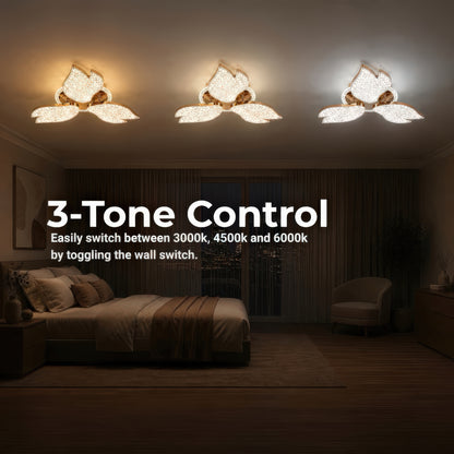 LT775_3GD — LT775_3GD - 4. 3-TONE CONTROL.jpg
