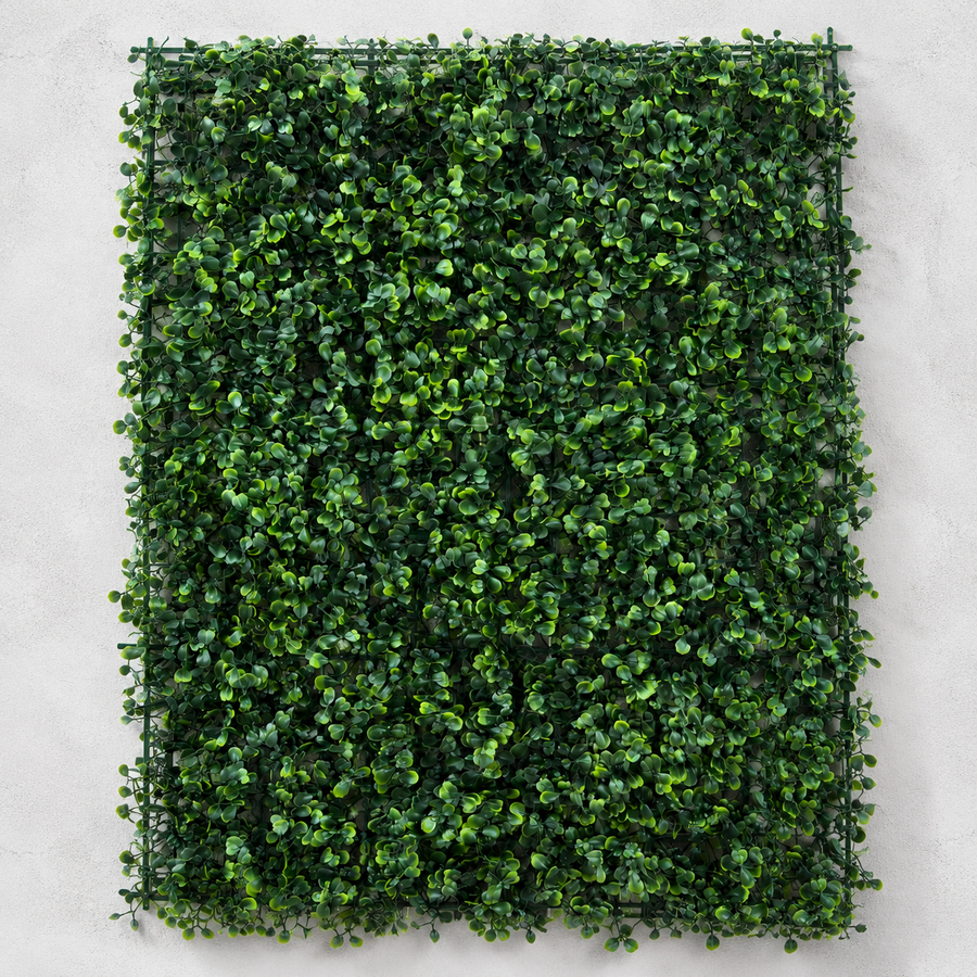 Panou de Gard Viu Artificial Aglaia Odorata, 40 x 60 cm, Verde