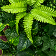 Panou de Gard Viu Artificial Mix Frunze de Piersic & Persan, 40 x 60 cm, Verde