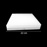 LED stropní svítidlo PL200/12P 19W Cool Light 6000k bílé LED stropní svítidlo Výchozí název Alessandro Design