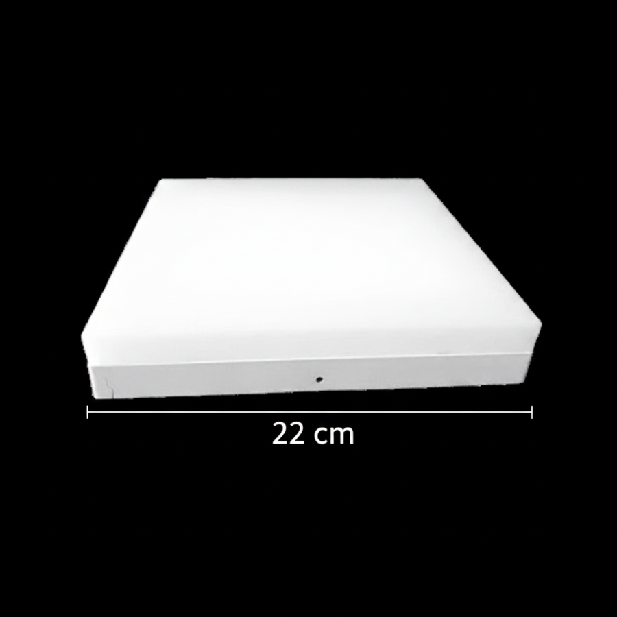 LED stropní svítidlo PL200/12P 19W Cool Light 6000k bílé LED stropní svítidlo Výchozí název Alessandro Design