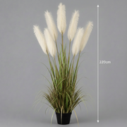 Plantă decorativă în ghiveci, 7 fire, 220cm, Stuf Artificial, Material Textil si Plastic, Verde si Alb