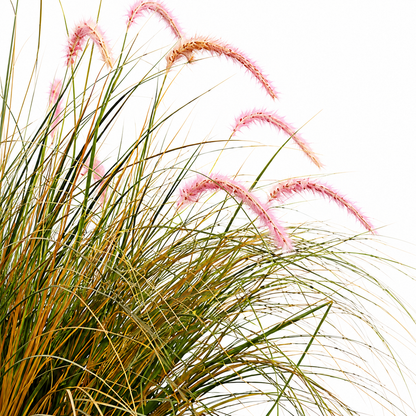 Okrasná rostlina z umělé trávy Foxtail, 120 cm, zakřivená tráva a koření, zelená a růžová, bez květináče