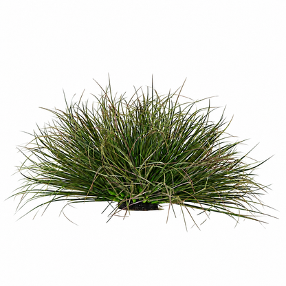 Umělý rostlinný zakřivený keř cibulové trávy, 28 cm, nízká hustota, tmavě zelená, bez květináče