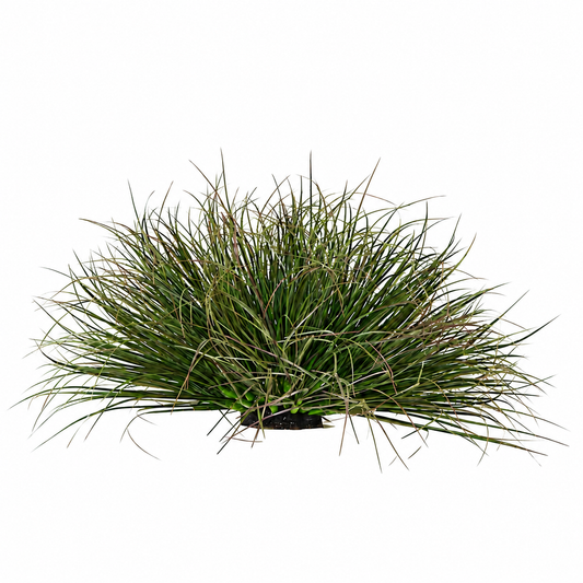 Umělý rostlinný zakřivený keř cibulové trávy, 28 cm, nízká hustota, tmavě zelená, bez květináče