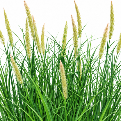 Umělá rostlina, okrasná tráva v květináči, 70 cm, s 25 kořením, zelená a růžová