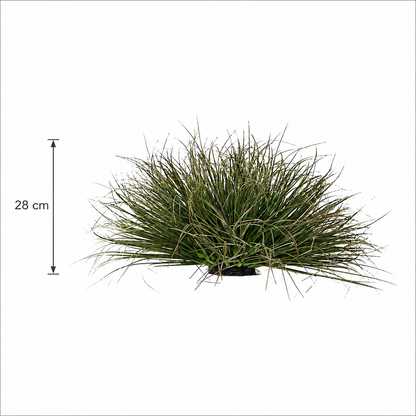 Tufă Artificială de Iarbă, 28 cm, Iarbă Tip Ceapă Curbată, Densitate Redusă, Plastic, Verde Închis
