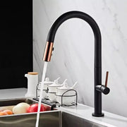 Kuchyňská baterie, sanitární mosaz, černá, CF1035/b