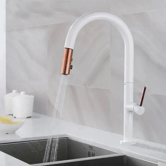 Kuchyňská baterie s extrahovatelnou sprchou, sanitární mosaznou, bílou, CF/1035/a