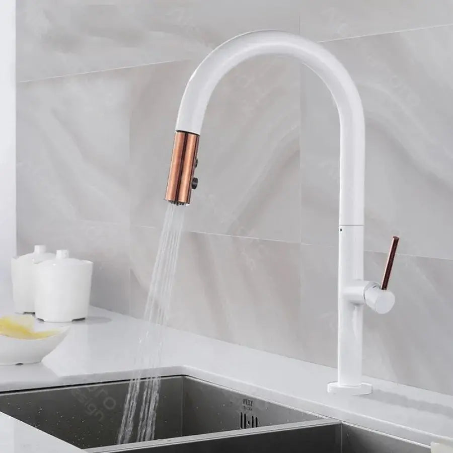 Kuchyňská baterie s extrahovatelnou sprchou, sanitární mosaznou, bílou, CF/1035/a