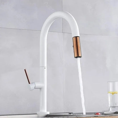 Kuchyňská baterie s extrahovatelnou sprchou, sanitární mosaznou, bílou, CF/1035/a