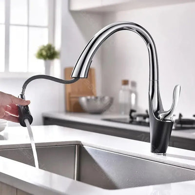 Kuchyňská baterie s extrahovatelnou sprchou, sanitární mosaznou, chrome, W058