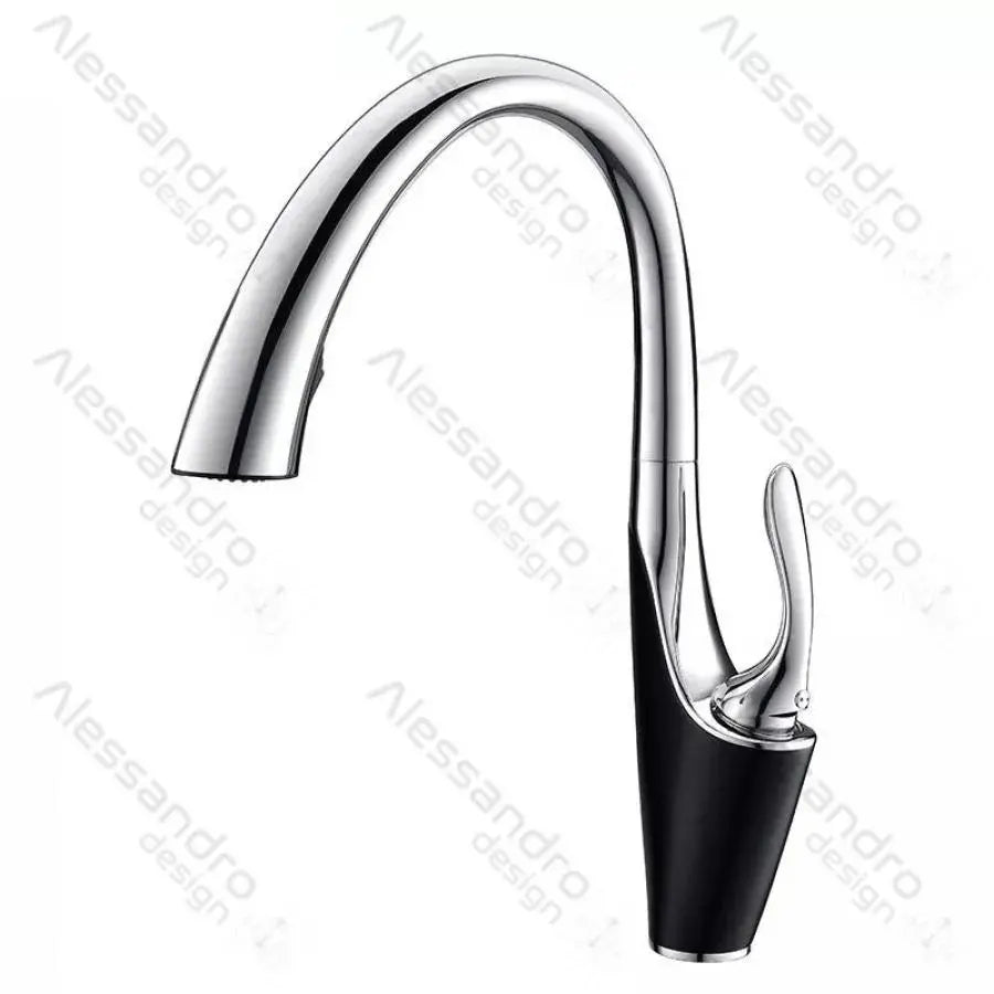Kuchyňská baterie s extrahovatelnou sprchou, sanitární mosaznou, chrome, W058
