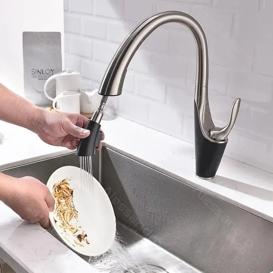 Kuchyňská baterie s extrahovatelnou sprchou, sanitární mosaznou, chrome, W058
