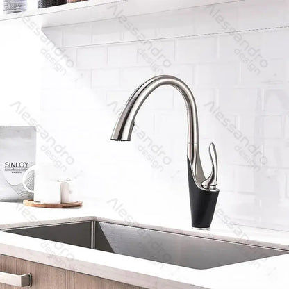 Kuchyňská baterie s extrahovatelnou sprchou, sanitární mosaznou, chrome, W058