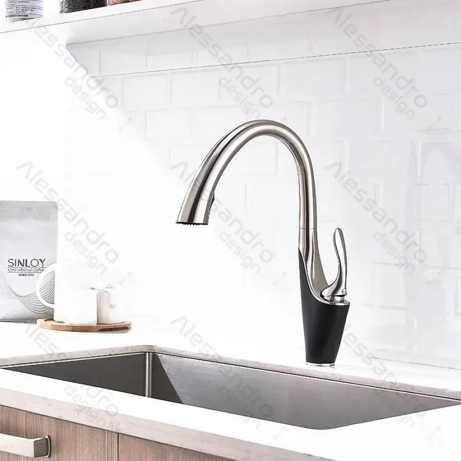 Kuchyňská baterie s extrahovatelnou sprchou, sanitární mosaznou, chrome, W058