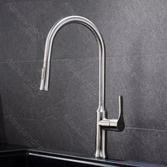 Kuchyňská baterie s výsuvnou sprchou, SUS304 Nerezová ocel, satén, CF023 Kuchyňské baterie Výchozí název Alessandro Design