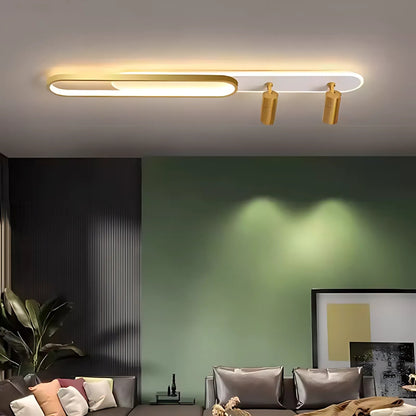 LED LED LED FILBERTO, 69 W, studené/teplé světlo/neutrální nastavitelný akrylový projektor a bílý a zlatý kov