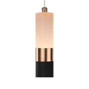 LED Adam, 14W, akrylový a kov, černá se zlatem/horkým/neutrálním světlem