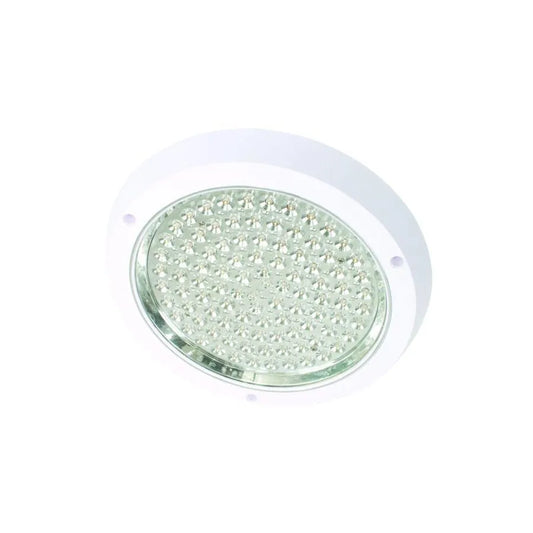 LED stropíka Darya 12w White